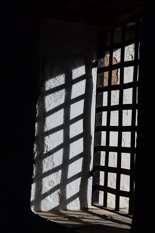 asesoramiento-filosofico-Arminda-Silvia